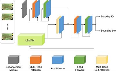 UMOTMA: Underwater multiple object tracking with memory aggregation